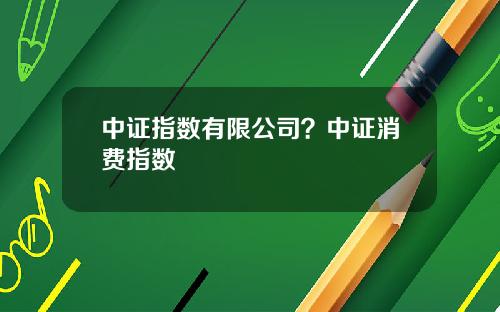 中证指数有限公司？中证消费指数