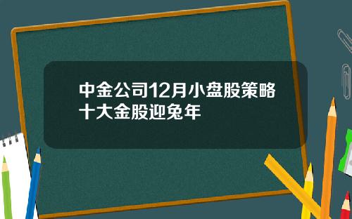 中金公司12月小盘股策略十大金股迎兔年