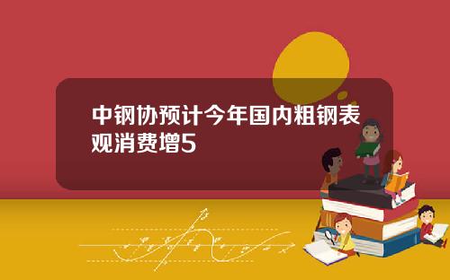 中钢协预计今年国内粗钢表观消费增5