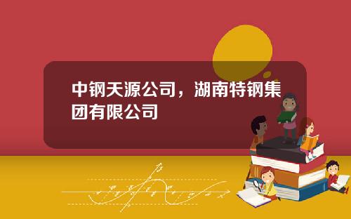 中钢天源公司，湖南特钢集团有限公司