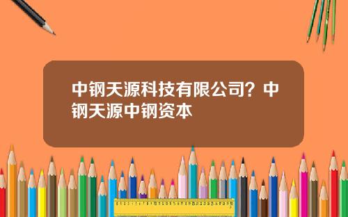 中钢天源科技有限公司？中钢天源中钢资本