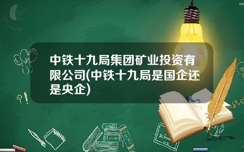 中铁十九局集团矿业投资有限公司(中铁十九局是国企还是央企)