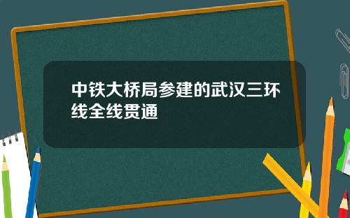 中铁大桥局参建的武汉三环线全线贯通