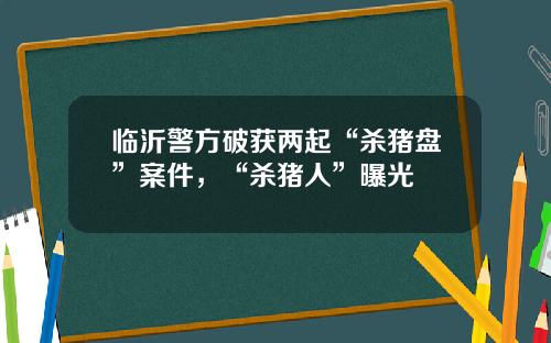 临沂警方破获两起“杀猪盘”案件，“杀猪人”曝光