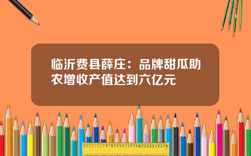 临沂费县薛庄：品牌甜瓜助农增收产值达到六亿元