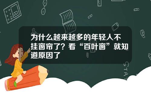 为什么越来越多的年轻人不挂窗帘了？看“百叶窗”就知道原因了