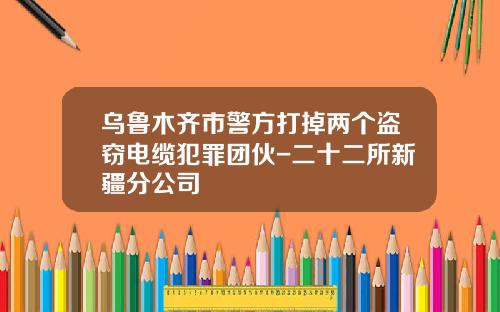 乌鲁木齐市警方打掉两个盗窃电缆犯罪团伙-二十二所新疆分公司