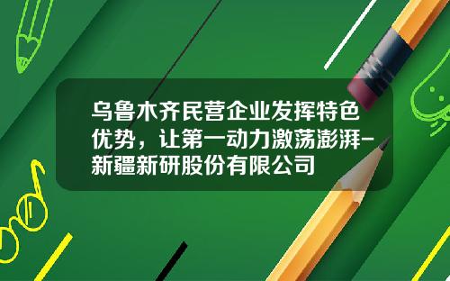 乌鲁木齐民营企业发挥特色优势，让第一动力激荡澎湃-新疆新研股份有限公司