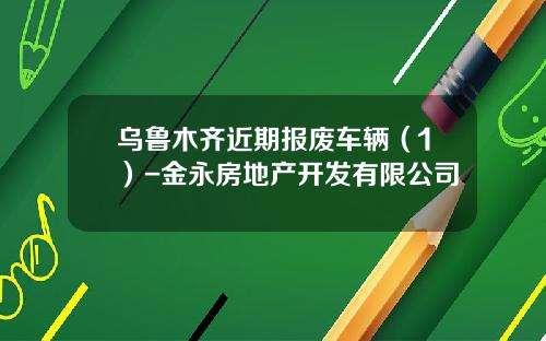 乌鲁木齐近期报废车辆（1）-金永房地产开发有限公司