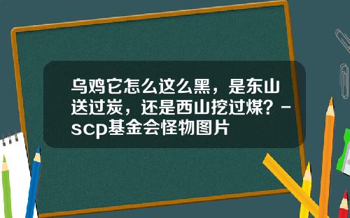 乌鸡它怎么这么黑，是东山送过炭，还是西山挖过煤？-scp基金会怪物图片
