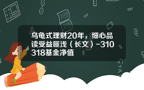 乌龟式理财20年，细心品读受益匪浅（长文）-310318基金净值