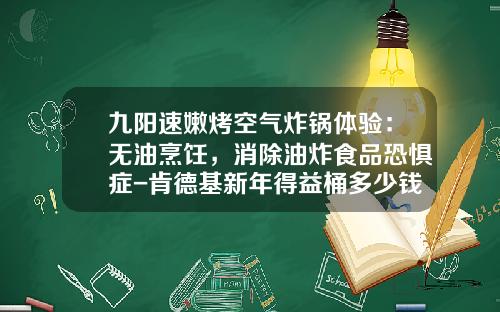 九阳速嫩烤空气炸锅体验：无油烹饪，消除油炸食品恐惧症-肯德基新年得益桶多少钱