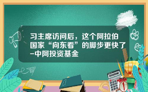 习主席访问后，这个阿拉伯国家“向东看”的脚步更快了-中阿投资基金