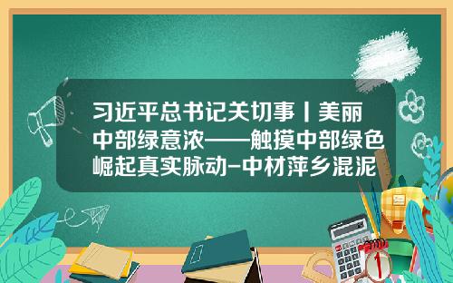 习近平总书记关切事丨美丽中部绿意浓——触摸中部绿色崛起真实脉动-中材萍乡混泥土有限公司