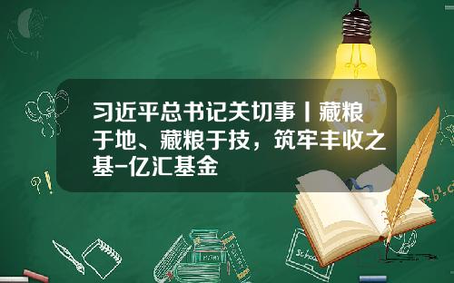 习近平总书记关切事丨藏粮于地、藏粮于技，筑牢丰收之基-亿汇基金