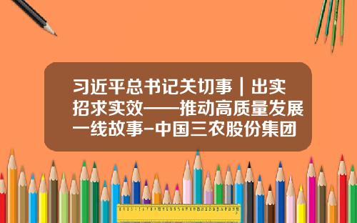 习近平总书记关切事｜出实招求实效——推动高质量发展一线故事-中国三农股份集团有限责任公司