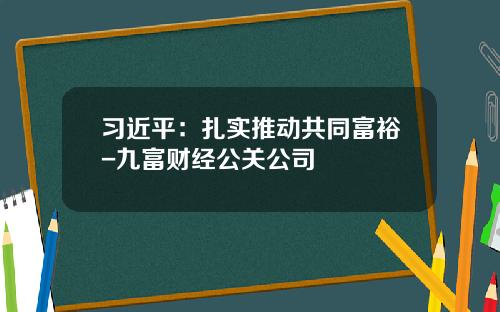习近平：扎实推动共同富裕-九富财经公关公司