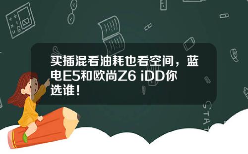 买插混看油耗也看空间，蓝电E5和欧尚Z6 iDD你选谁！