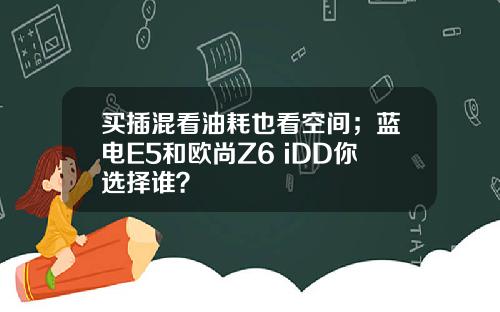 买插混看油耗也看空间；蓝电E5和欧尚Z6 iDD你选择谁？
