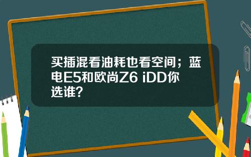 买插混看油耗也看空间；蓝电E5和欧尚Z6 iDD你选谁？