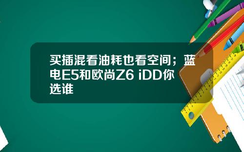 买插混看油耗也看空间；蓝电E5和欧尚Z6 iDD你选谁