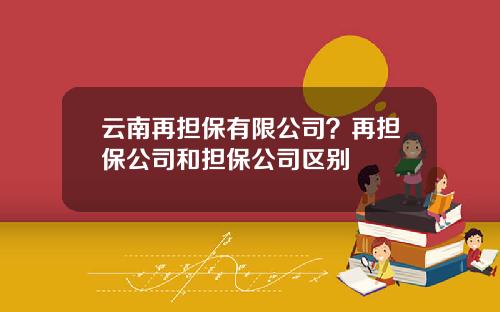 云南再担保有限公司？再担保公司和担保公司区别