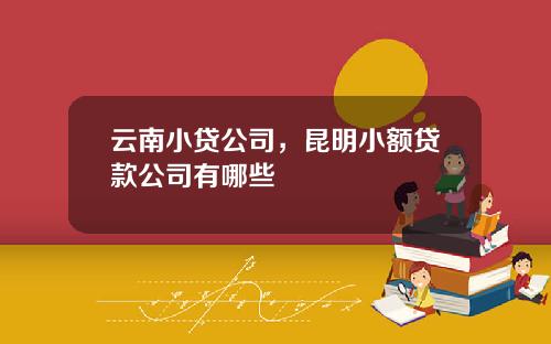 云南小贷公司，昆明小额贷款公司有哪些