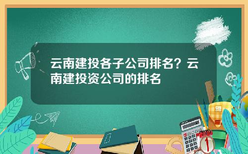 云南建投各子公司排名？云南建投资公司的排名