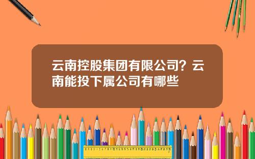 云南控股集团有限公司？云南能投下属公司有哪些
