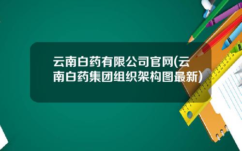 云南白药有限公司官网(云南白药集团组织架构图最新)