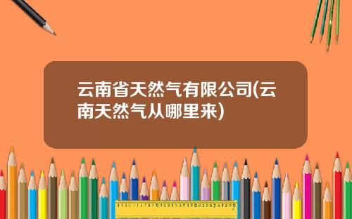 云南省天然气有限公司(云南天然气从哪里来)