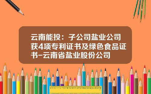 云南能投：子公司盐业公司获4项专利证书及绿色食品证书-云南省盐业股份公司