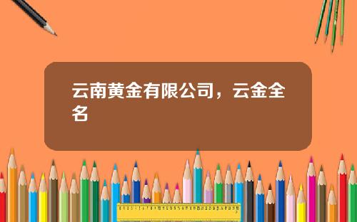 云南黄金有限公司，云金全名