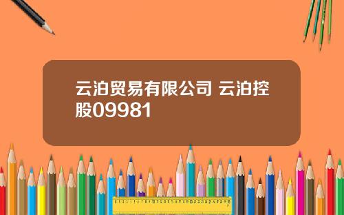 云泊贸易有限公司 云泊控股09981