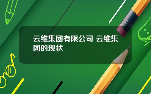 云维集团有限公司 云维集团的现状