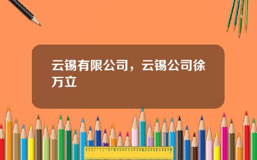 云锡有限公司，云锡公司徐万立