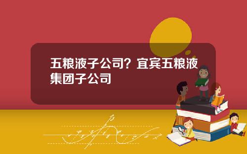 五粮液子公司？宜宾五粮液集团子公司