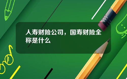 人寿财险公司，国寿财险全称是什么