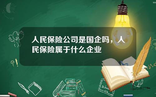 人民保险公司是国企吗，人民保险属于什么企业