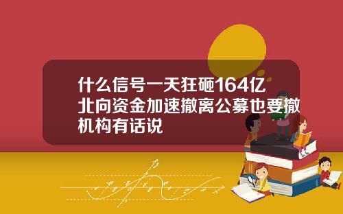 什么信号一天狂砸164亿北向资金加速撤离公募也要撤机构有话说