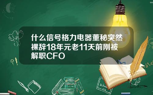 什么信号格力电器董秘突然裸辞18年元老11天前刚被解职CFO