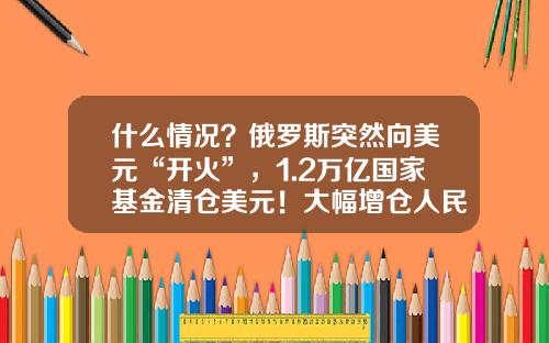 什么情况？俄罗斯突然向美元“开火”，1.2万亿国家基金清仓美元！大幅增仓人民币，有何深意？-俄罗斯的基金