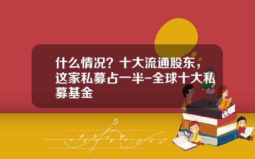 什么情况？十大流通股东，这家私募占一半-全球十大私募基金