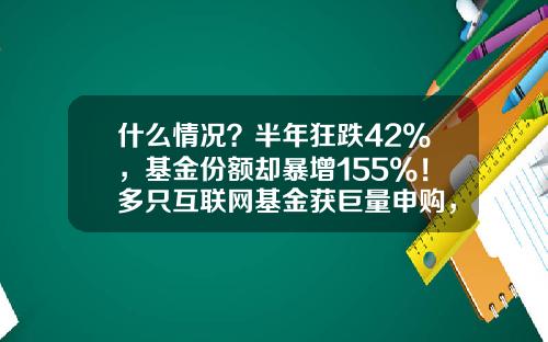 什么情况？半年狂跌42%，基金份额却暴增155%！多只互联网基金获巨量申购，哪来的神秘资金？可以抄底了？#热点复盘#-基金互联网