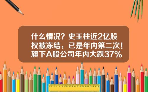 什么情况？史玉柱近2亿股权被冻结，已是年内第二次！旗下A股公司年内大跌37%-上市公司股份冻结