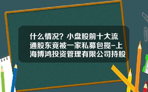 什么情况？小盘股前十大流通股东竟被一家私募包揽-上海博鸿投资管理有限公司持股