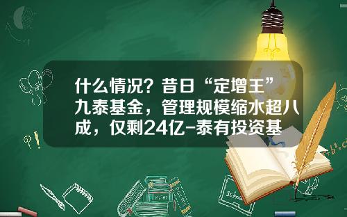 什么情况？昔日“定增王”九泰基金，管理规模缩水超八成，仅剩24亿-泰有投资基金