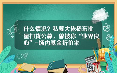 什么情况？私募大佬杨东批量扫货公募，曾被称“业界良心”-场内基金折价率
