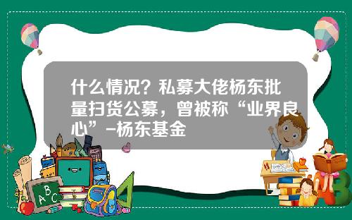 什么情况？私募大佬杨东批量扫货公募，曾被称“业界良心”-杨东基金