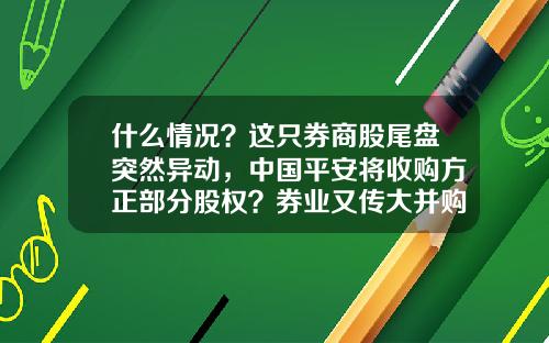 什么情况？这只券商股尾盘突然异动，中国平安将收购方正部分股权？券业又传大并购，成功概率几何？-Pia基金公司